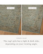 Briar BRR-02 Aqua/Olive Area Rug