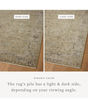 Briar BRR-02 Olive/Stone Area Rug