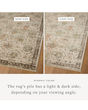 Briar BRR-04 Ivory/Multi Area Rug