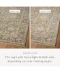 Briar BRR-05 Fog/Sand Area Rug