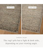 Briar BRR-06 Mist/Granite Area Rug