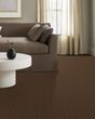 Brilliant Beauty Textured Pet Friendly Carpet