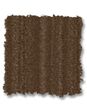 Brilliant Beauty Textured Pet Friendly Carpet