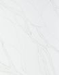 Calacatta Izaro Quartz Countertop
