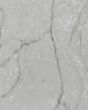 Calacatta Versailles Quartz Countertop