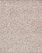 Calm Retreat Kashmere Nylon Textured Carpet