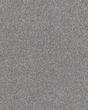Calm Serenity I Silver Lining Carpet