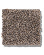 Calm Simplicity I Textured 43oz Carpet