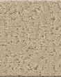 Canvas Comfort Textured Nylon 43oz Carpet