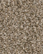 Canyon Village Pebble Carpet
