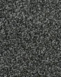 Captivating Grace Nylon 45oz Textured Carpet