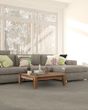 Pawsitive T Marble Pet Friendly Textured 40oz Carpet