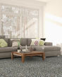 Soft Impact T Textured 24oz Tonal Carpet