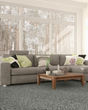 Superior Selection Textured SmartStrand Carpet