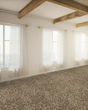 Tonal 60 Textured 58oz Carpet