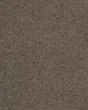Carramar II 100% Wool Textured 46oz Carpet