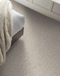 Carte Blanche Pet Friendly 43oz Pattern Carpet