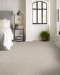 Carte Blanche Pet Friendly 43oz Pattern Carpet