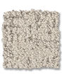 Carte Blanche Pet Friendly 43oz Pattern Carpet