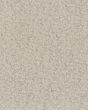 Carte Blanche Pet Friendly 43oz Pattern Carpet