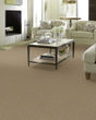 Cashmere Classic II Textured Nylon 58oz Carpet