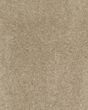 Cashmere Classic II Textured Nylon 58oz Carpet
