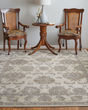 Celene 39KZF Tan/Ivory/Brown Rug
