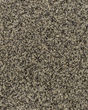 Charming Interest SmartStrand Silk Carpet