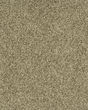 Cherished Tradition Kashmere Nylon Carpet
