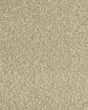 Cherished Tradition Bare Necessities Kashmere Carpet