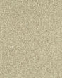 Cherished Tradition Haven Kashmere Carpet