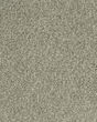 Cherished Tradition Raven Kashmere Carpet