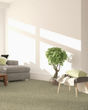 Cherished Tradition Bare Necessities Kashmere Carpet