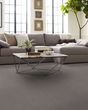 Chic Elevation Patterned Pet Friendly Carpet