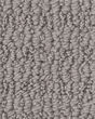 Chic Elevation Patterned Pet Friendly Carpet
