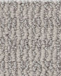 Chic Elevation Patterned Pet Friendly Carpet