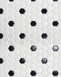 Circuit White w/black 1x1 Hexagon Matte Tile