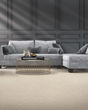 Classic Frame SmartStrand 40oz Carpet