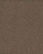 Classical Approach SmartStrand 70oz Carpet