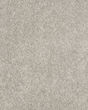 Claws and Effect I 43oz Pet Friendly Carpet