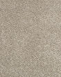 Claws and Effect II 58oz Pet Friendly Carpet