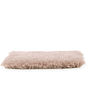 Clever Fashion III SmartStrand Textured Carpet