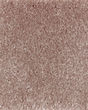 Clever Fashion III SmartStrand Textured Carpet
