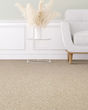 Colorful Mix II 918 Textured Carpet
