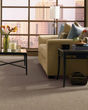 Composed II SmartStrand Pattern 25oz Carpet