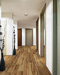 COREtec Pro Plus 7"x48" Belmont Hickory Luxury Vinyl