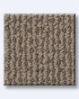 Crafted Embrace Raw Wood Carpet