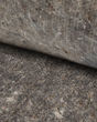 Endurance II Smart Step 0.42 in Thick 7.4 lb. Density Cushion Carpet