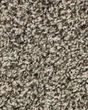 Designers Touch Textured Triexta 25oz Carpet