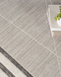 Desire DSR01 Grey Silver Area Rug